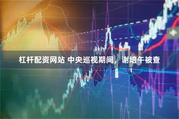 杠杆配资网站 中央巡视期间，谢培午被查