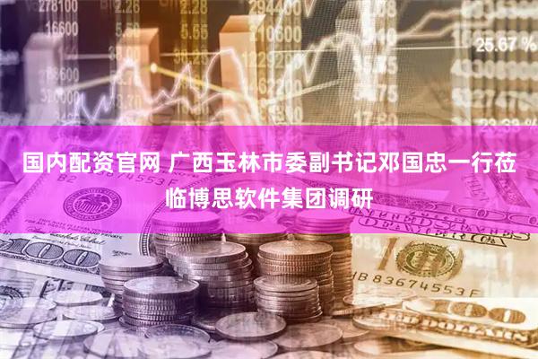 国内配资官网 广西玉林市委副书记邓国忠一行莅临博思软件集团调研