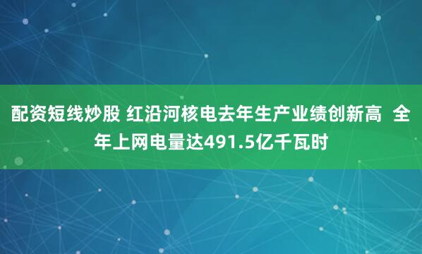 配资短线炒股 红沿河核电去年生产业绩创新高  全年上网电量达491.5亿千瓦时