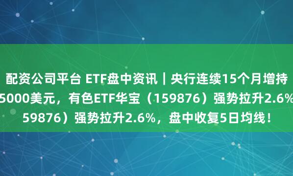 配资公司平台 ETF盘中资讯｜央行连续15个月增持黄金！现货黄金重返5000美元，有色ETF华宝（159876）强势拉升2.6%，盘中收复5日均线！